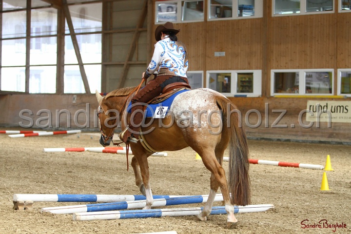 26-ApHC GT_180.jpg